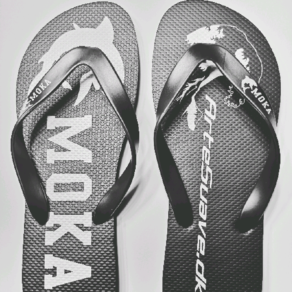 Flip Flops